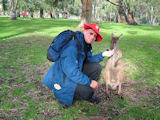 Adelaide 2008
